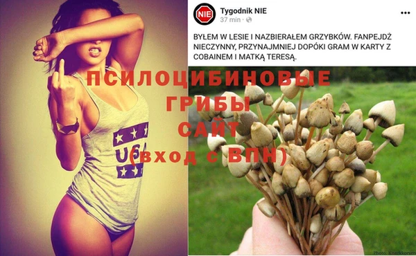 дурь Бугульма