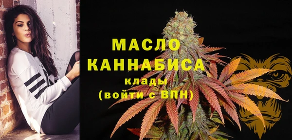 амф Бородино
