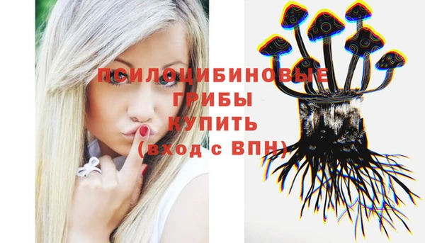 spice Богородицк